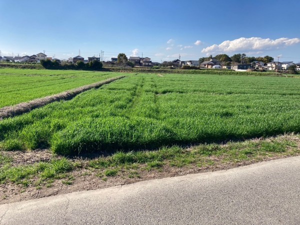 西尾市南中根町、土地の画像です