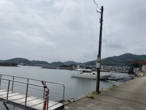 西尾市東幡豆町、土地の画像です