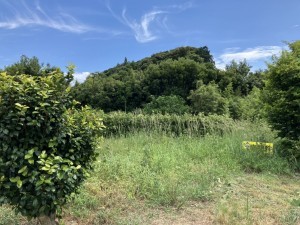 西尾市寺部町、土地の画像です