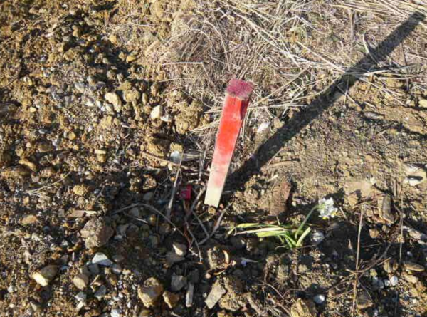 西尾市吉良町津平、土地の外観画像です