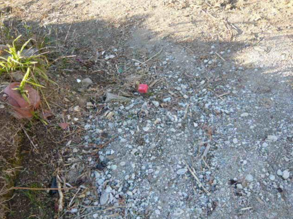 西尾市吉良町津平、土地の外観画像です