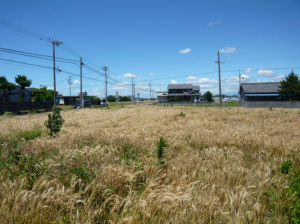 西尾市吉良町富田、土地の外観画像です