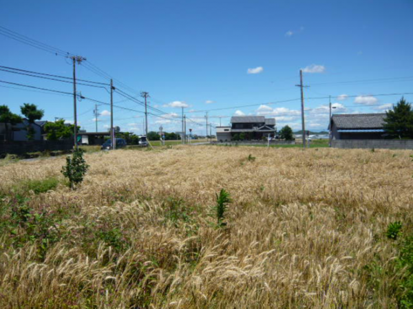 西尾市吉良町富田、土地の外観画像です