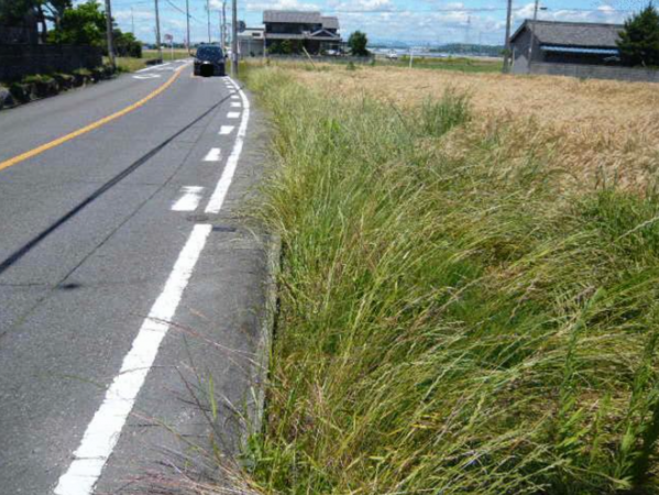 西尾市吉良町富田、土地の外観画像です