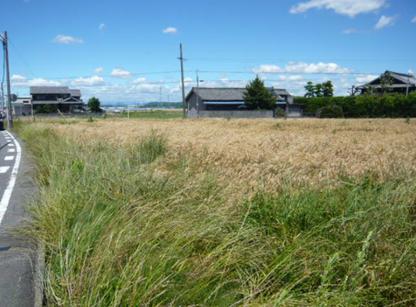 西尾市吉良町富田、土地の外観画像です