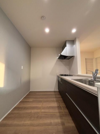 西尾市一色町野田、新築一戸建てのキッチン画像です