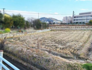 西尾市戸ケ崎町、土地の画像です