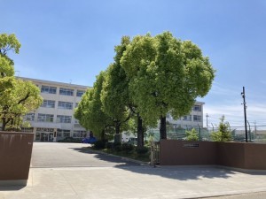 加古川市西神吉町鼎、土地の画像です