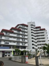 加古川市加古川町平野、マンションの外観画像です