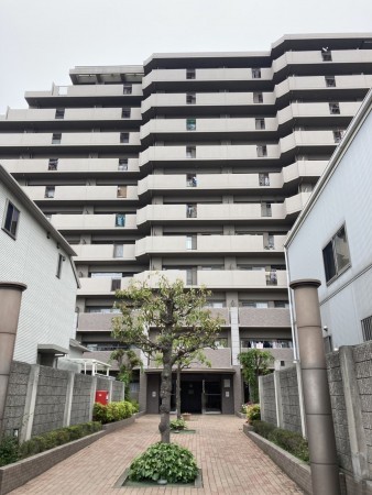 加古川市加古川町溝之口、マンションの外観画像です