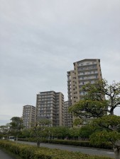 加古川市加古川町平野、マンションの外観画像です