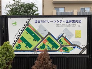 加古川市加古川町平野、マンションの画像です