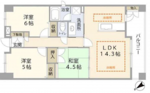 加古川市別府町別府、マンションの間取り画像です