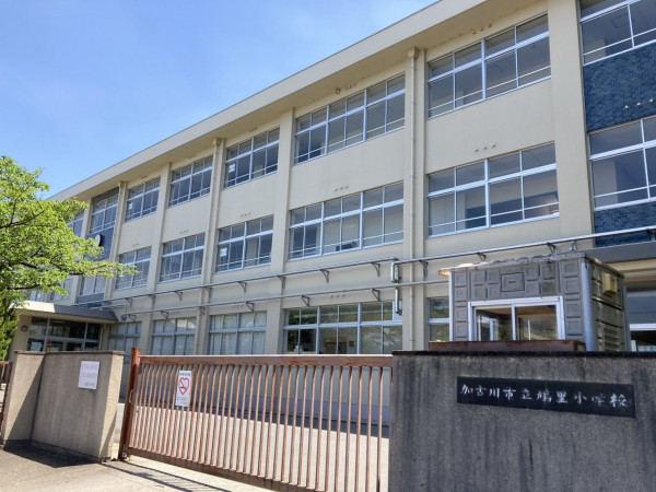 加古川市加古川町稲屋、マンションの画像です
