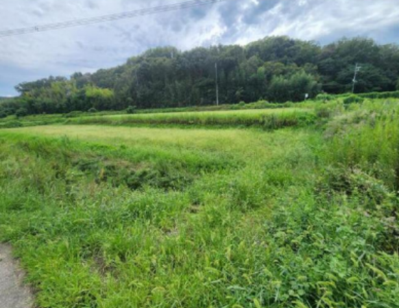 加古川市志方町東飯坂、土地の画像です