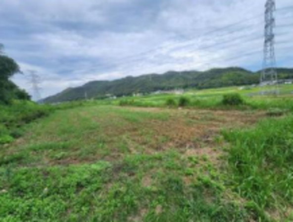 加古川市志方町東飯坂、土地の画像です