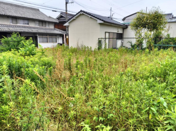 加古川市上荘町国包、土地の画像です