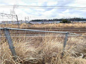 我孫子市栄、土地のその他画像です