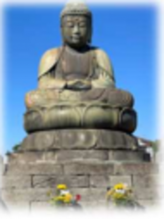 船橋市咲が丘、土地の画像です
