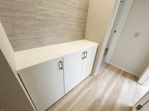 船橋市海神、新築一戸建ての収納画像です