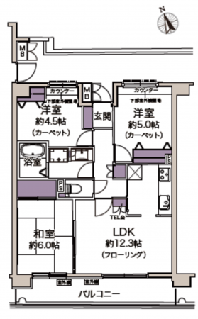 船橋市西船、マンションの間取り画像です