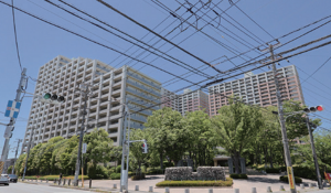 市川市市川南、マンションの外観画像です