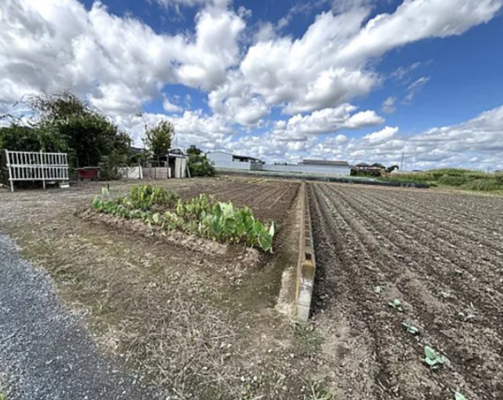 吉川市大字川藤、土地の画像です