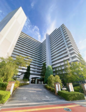三郷市新三郷ららシティ、マンションの画像です