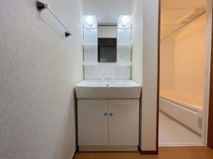 三郷市戸ケ崎、中古一戸建ての画像です