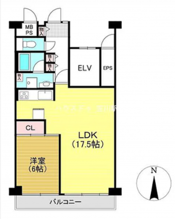 三郷市新和、マンションの間取り画像です
