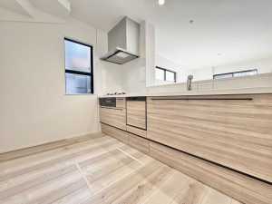 三郷市小谷堀、中古一戸建ての画像です