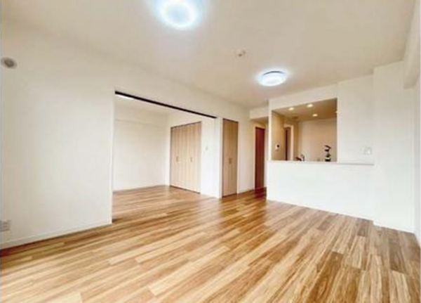 三郷市戸ケ崎、マンションの画像です