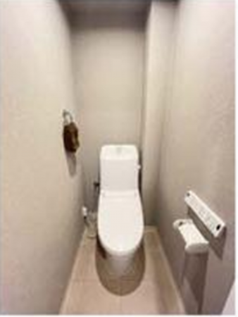 三郷市戸ケ崎、マンションの画像です