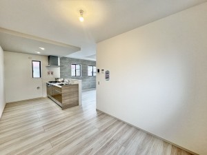 三郷市中央、新築一戸建ての画像です