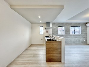 三郷市中央、新築一戸建ての画像です