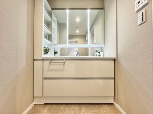 三郷市三郷、マンションの画像です