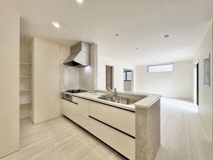 吉川市大字保、新築一戸建ての画像です