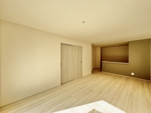 吉川市大字保、新築一戸建ての画像です