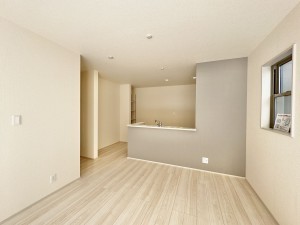 吉川市大字保、新築一戸建ての画像です