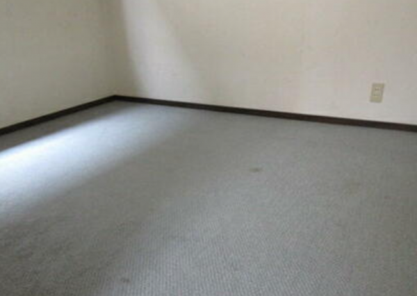 三郷市戸ケ崎、中古一戸建ての画像です