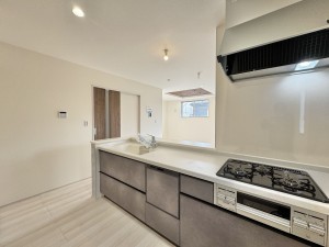 三郷市幸房、新築一戸建ての画像です