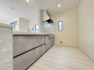 三郷市幸房、新築一戸建ての画像です