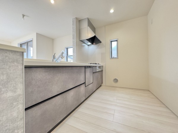 三郷市幸房、新築一戸建ての画像です