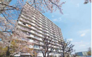三郷市さつき平、マンションの画像です