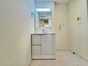 吉川市大字共保、新築一戸建ての画像です