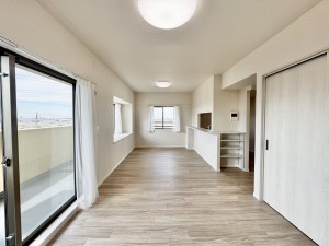 三郷市半田、マンションの画像です