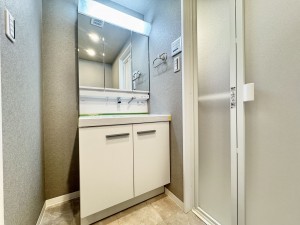 三郷市半田、マンションの画像です