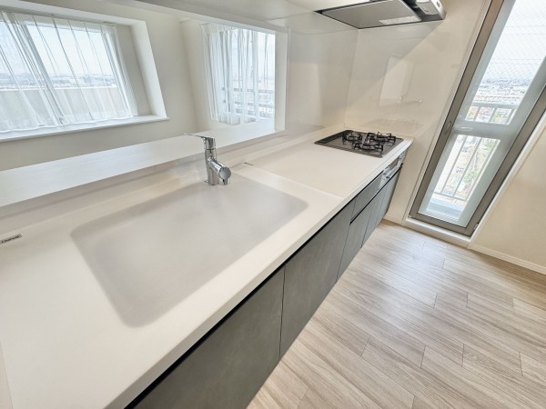 三郷市半田、マンションの画像です