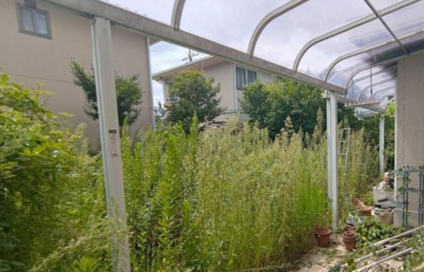 三郷市早稲田、中古一戸建ての画像です