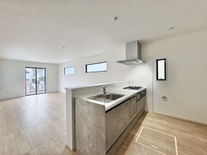 吉川市新栄、新築一戸建ての画像です